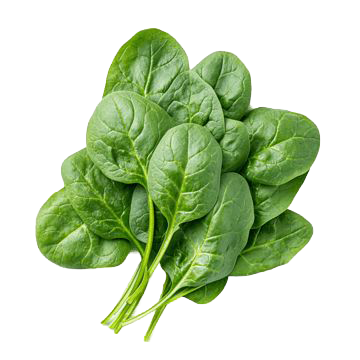 Spinach