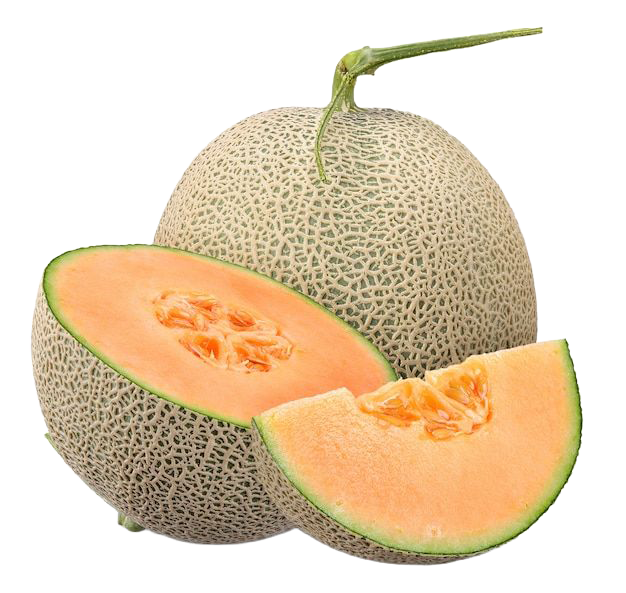 Cantaloupe